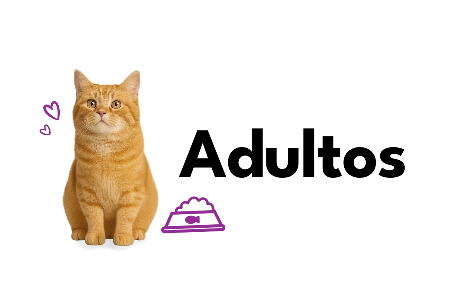 Banner Mobile