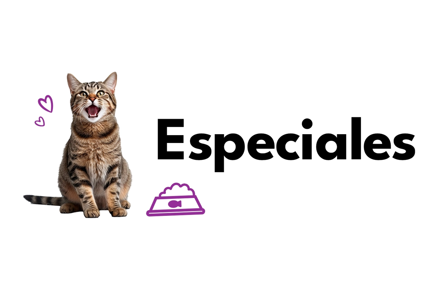 Banner Mobile