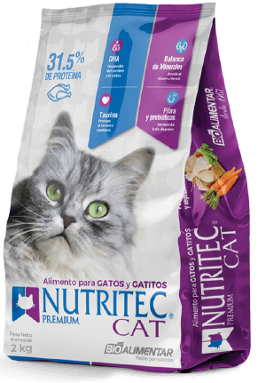 Pack para poner trama demostración Nutritec CAT| Arena y Comida Premium para gatos en Ecuador